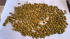 919AA421-230D-4DFF-BD91-ECB620BB7471